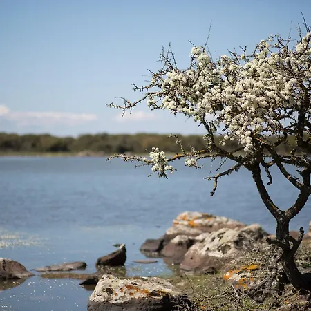 Cortis Antigas 3* Gesturi